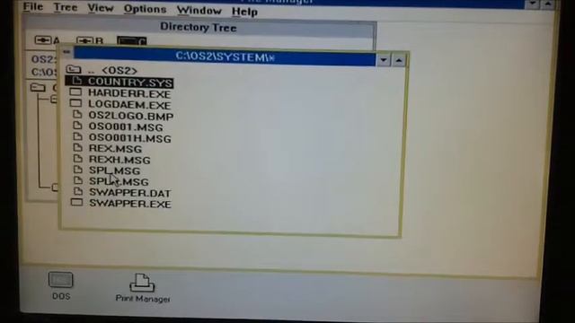 Microsoft OS/2 Version 1.3 Destruction смотреть онлайн