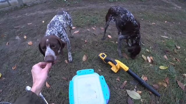 Лучшие моменты охот! Прошлый сезон смотреть онлайн