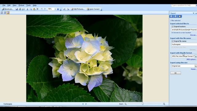 CHANGING FILE FORMAT FOR IMAGE IN MS OFFICE PICTURE MANAGER (PART 6) IN TAMIL смотреть онлайн