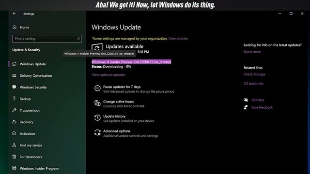 Windows 11 - Upgrading From the Leak (21996.1) to the Dev Ring Insider Preview (22000.51) смотреть онлайн