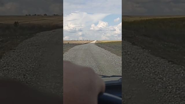 Вопрос к компании Навител - вы сами пробовали ездить по своим маршрутам? #шнива #навител #navitel смотреть онлайн