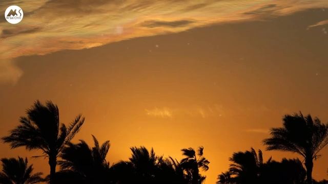 Lounge Music - Tulum Sunset Chillout Mix 2024 смотреть онлайн