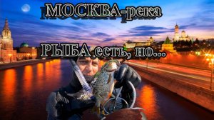 Подводная охота на МОСКВА-реке. Возможно ли?