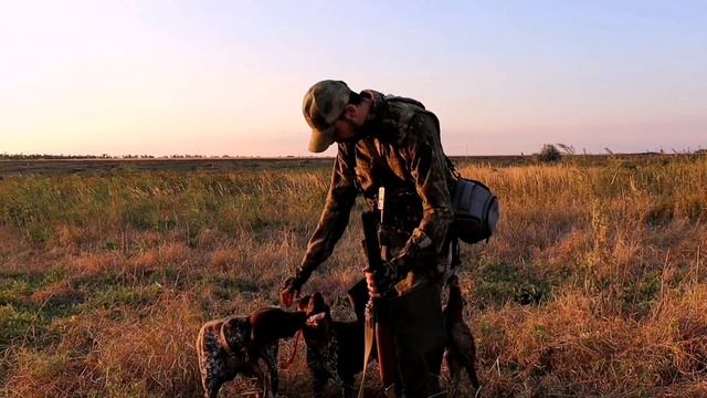 Трейлер канала - Курцхаары из коробки смотреть онлайн