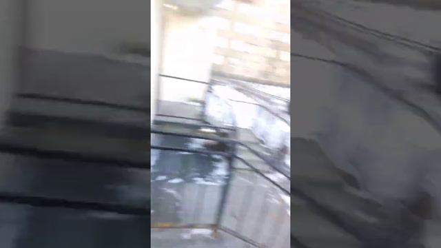 проверяю коды на домофоны ELTIS смотреть онлайн