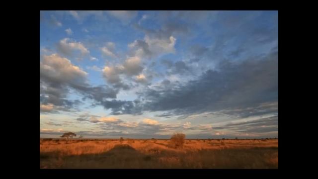 Hilde Domin nur eine Rose als Stütze.wmv смотреть онлайн