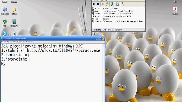 Jak zlegalizovat XP смотреть онлайн