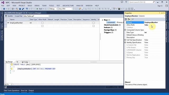 Create Visual Studio 2013 C# Project with Database, Input Form, ListView смотреть онлайн