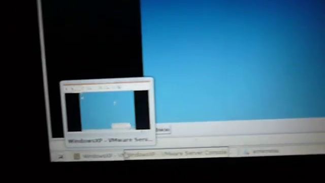 Windows XP over linux with compiz смотреть онлайн