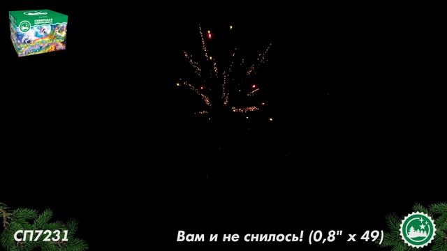 СП7231 смотреть онлайн