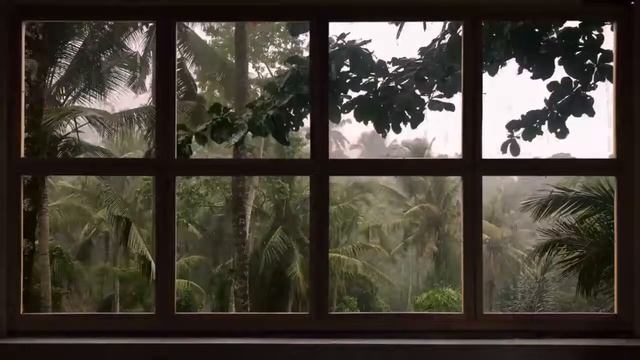 4K Tropical Storm Window with Rain & Thunder for relaxation, meditation, nature 1 hour / 432 hz / смотреть онлайн