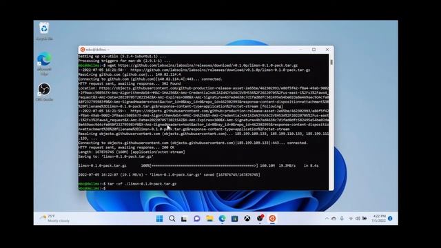 Use a Guix Pack to install Guile/Scheme software on Windows 11/WSL2 смотреть онлайн