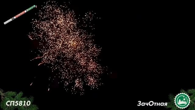 СП 5810 смотреть онлайн