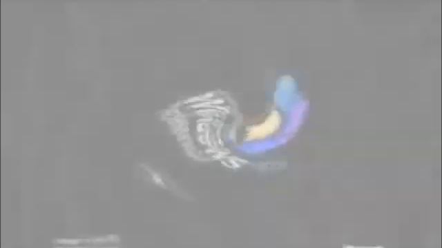 Windows XP Old School Effects (Sponsored by Klasky Csupo 1997 effects) смотреть онлайн