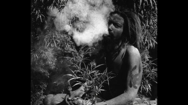 gimmie de weed dubplate jungle (NO OGM RMX).wmv смотреть онлайн