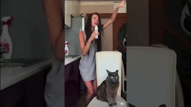 котик в шоке смотреть онлайн