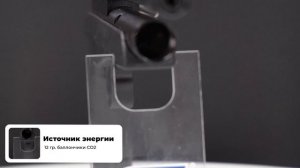 Пневматическая винтовка Black Strike B024