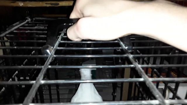 Pet Pigeon Window Cage Setup For Warm Weather смотреть онлайн