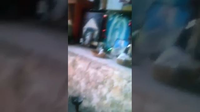 Musica tradicional san juan chamula.en belisario dominguez chenalho chiapas смотреть онлайн