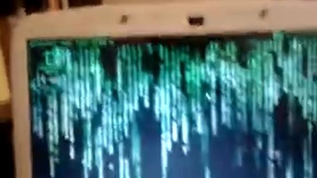 Winroot Demostration смотреть онлайн
