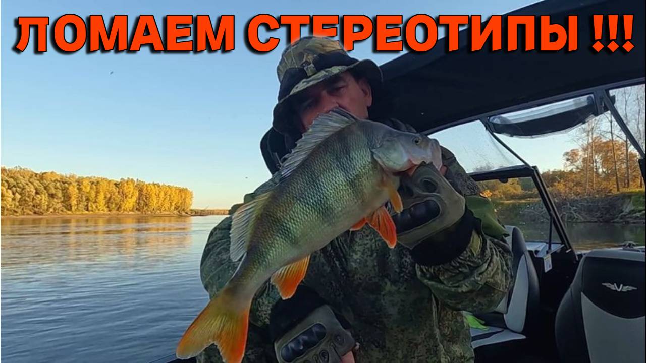 ЛОМАЕМ СТЕРЕОТИПЫ !!! Рыбалка на Оби 1 октября 2024г. смотреть онлайн