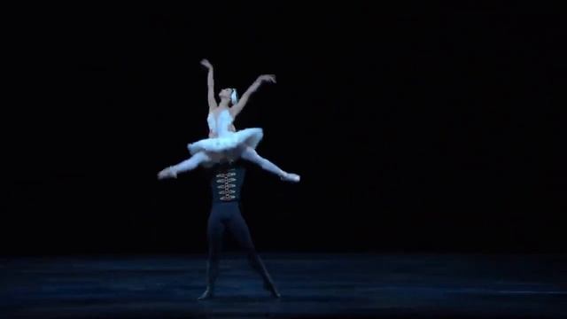 SWAN LAKE смотреть онлайн