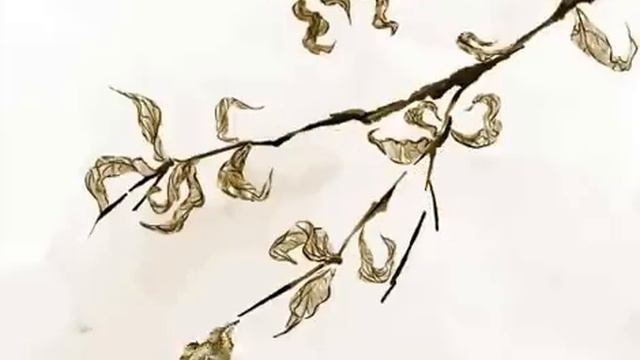[KAITO] By the White Windowsill [English Sub][Vocaloid] 白い窓辺で смотреть онлайн