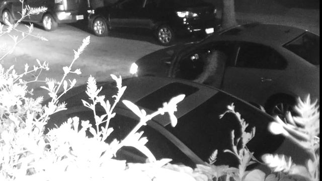 Video Enhancement of Burglary Car Window Broken July 8, 2014 2:15am смотреть онлайн