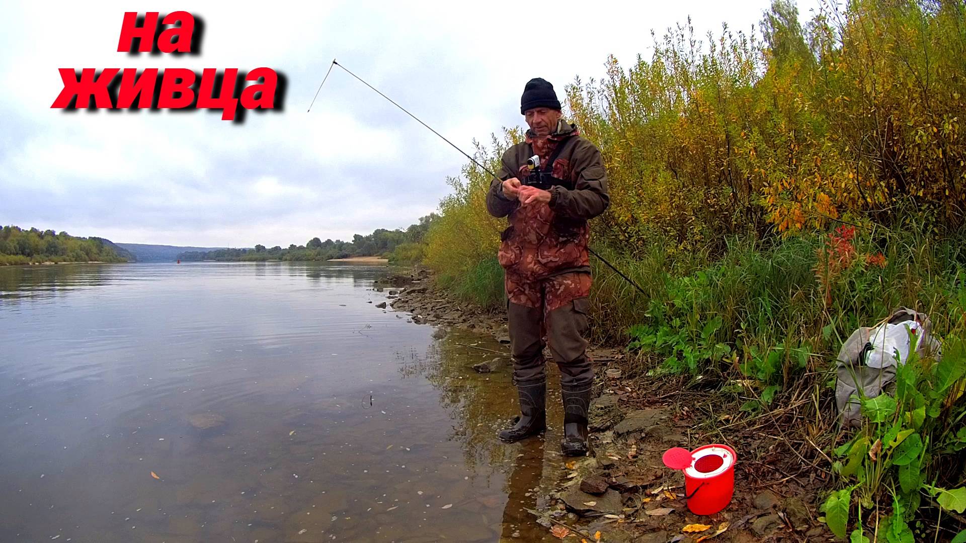 РЫБАЛКА НА ЖИВЦА. Как его поймать. Монтаж снасти. Ловля на донки на Оке. смотреть онлайн
