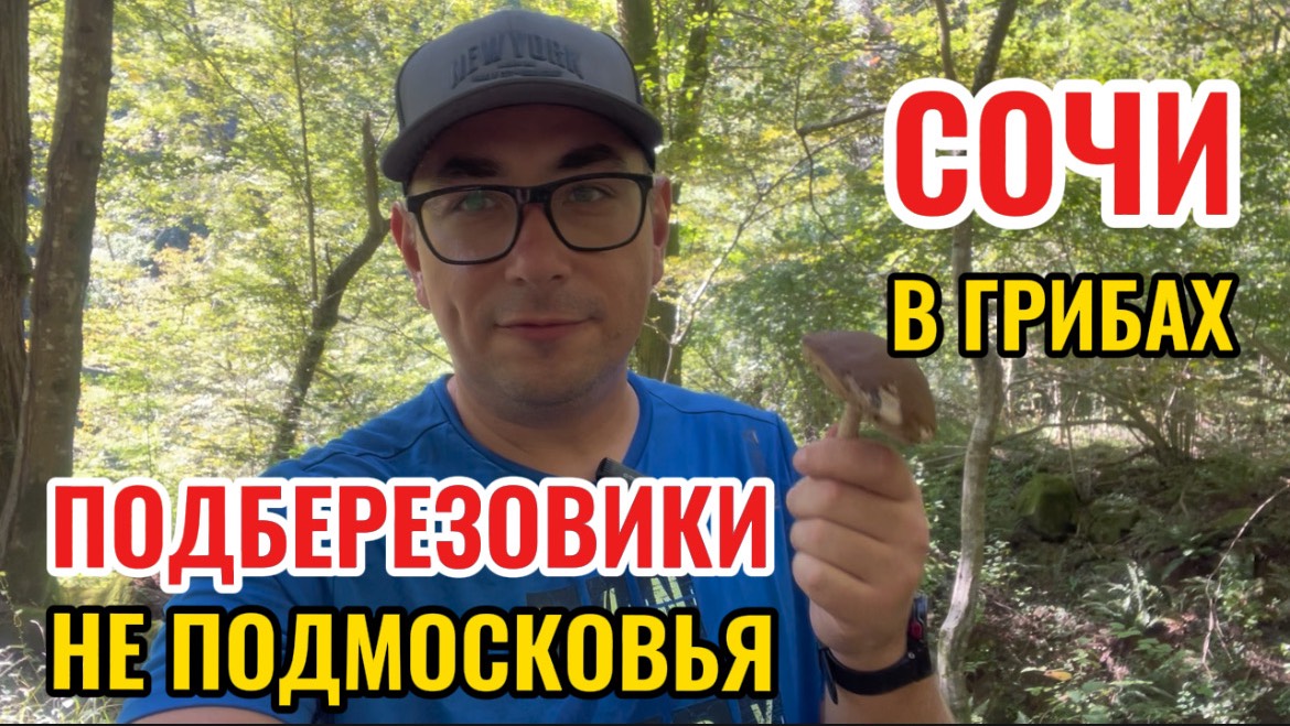 Грибы в горах Сочи. Два ведра подберезовиков, лисички и опята. Прогулка к водопаду по осенним горам. смотреть онлайн