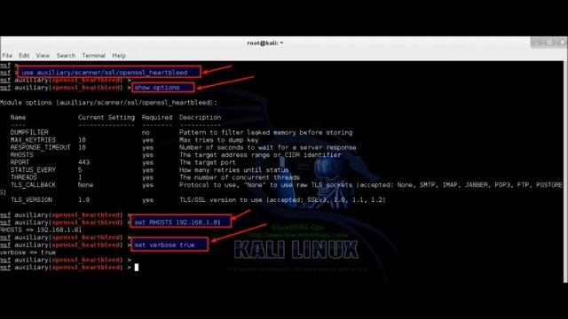 Exploit openSSL Heartbleed vulnerability from attacking system смотреть онлайн