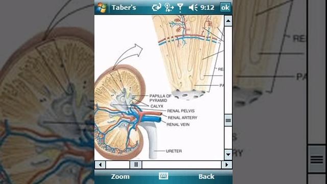 Taber's Medical Dictionary on Windows Mobile смотреть онлайн