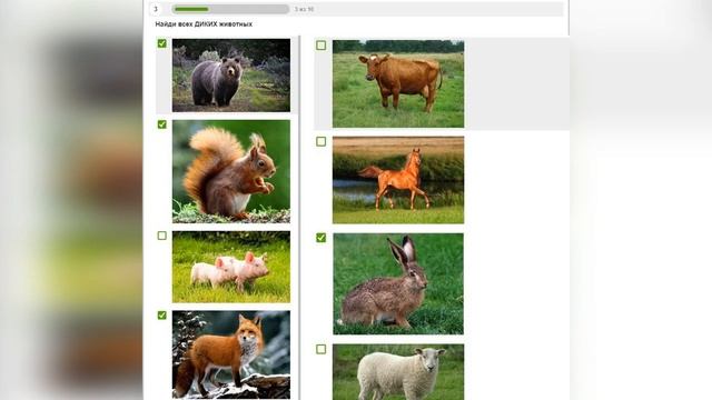 Опыт работы по дистанционному взаимодествию смотреть онлайн