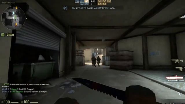 CS GO С ботами без голоса смотреть онлайн