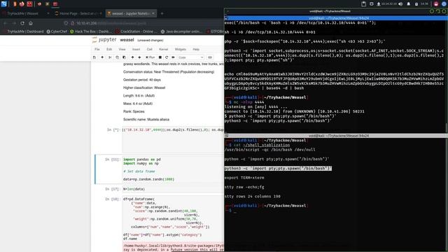 Weasel Tryhackme Writeup - Walkthrough смотреть онлайн