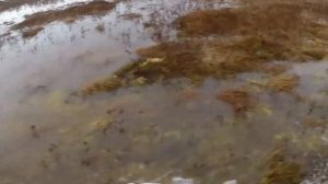 Видео от владельца техники