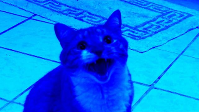 Shortest Video On Youtube (Extended) In Chorded Orange Vocoder смотреть онлайн