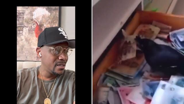 Man teaches a bird how to fly out of his window and bring money back. Tell him to call me!!! смотреть онлайн