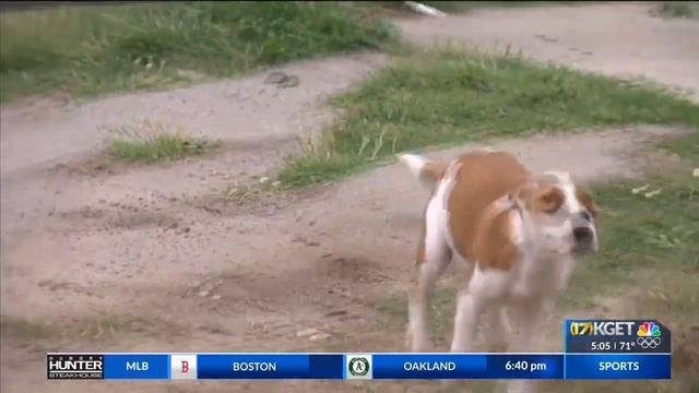 Bakersfield woman says law enforcement response was not enough after her home was broken into смотреть онлайн