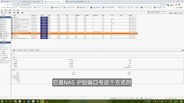 TrueNAS SCALE社区应用设置指定网络接口，真正独立IP，实现bt分流，修复HomeKit смотреть онлайн