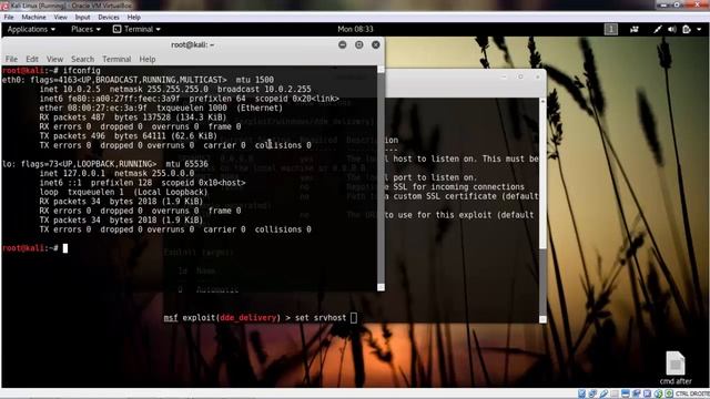 Exploiting windows using DDE Exploit смотреть онлайн