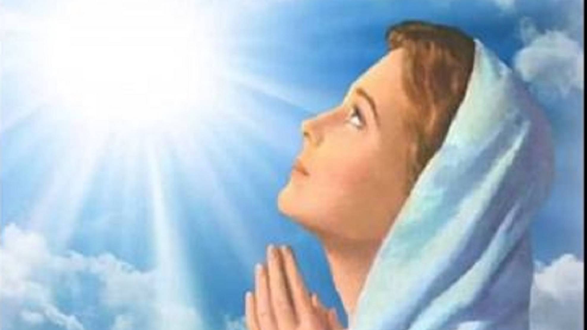 Разговор с БОГОМ АЛЬФА Вселенной. 05.10.24. смотреть онлайн