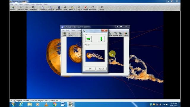 How to use acdsee 3.1 in hindi смотреть онлайн