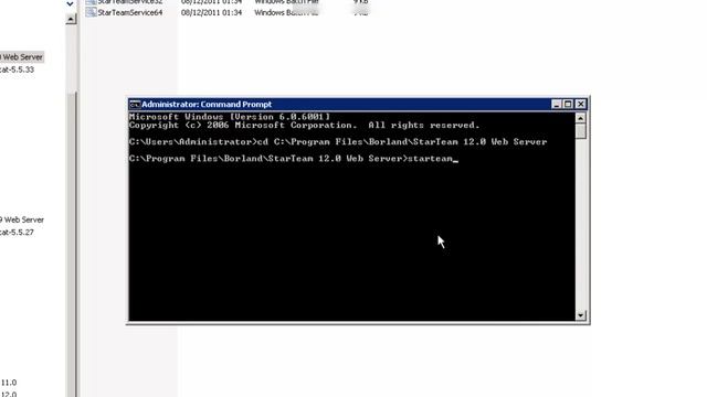Borland StarTeam - Configuring the web server to run as a windows service смотреть онлайн