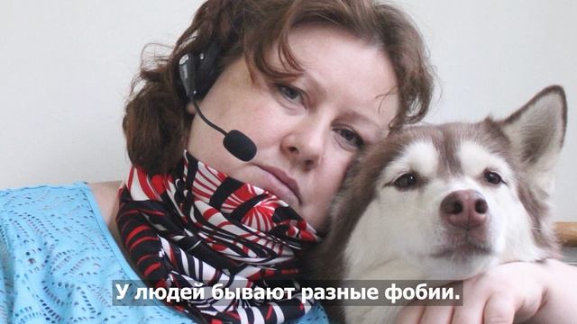 Светлана Александровна Самара президент НКО "Метелица" смотреть онлайн