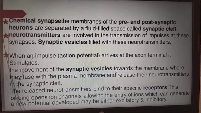 A brief overveiw about Neural control and coordination from NCERT with EASY TRICKS and mnemonics смотреть онлайн