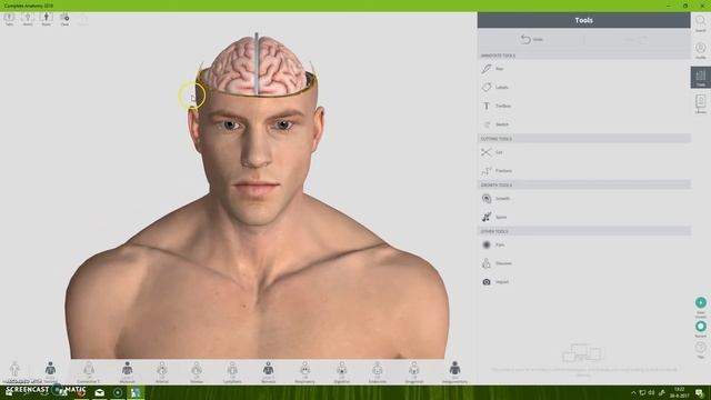 Test Complete Anatomy 2018 (sorry mic didn't work) смотреть онлайн