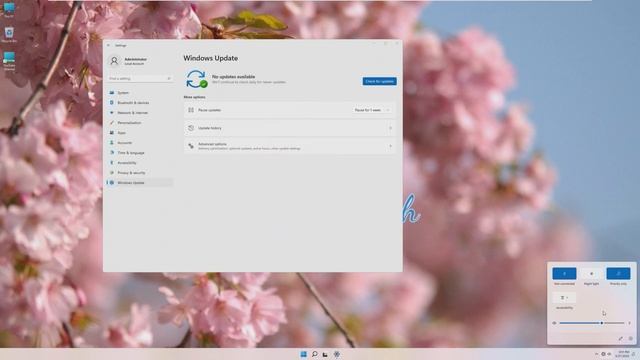 A 6GB Windows 11 Install? - The Smallest Windows 11 Build смотреть онлайн
