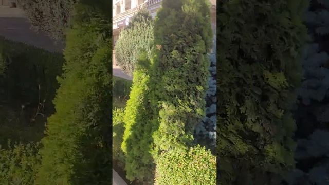 11 октября 2023 г. смотреть онлайн