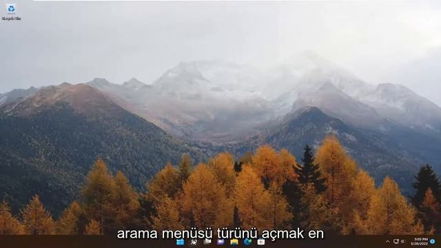 Windows 10/11 "Smart Screen'e şu anda ulaşılamıyor" sorunu смотреть онлайн